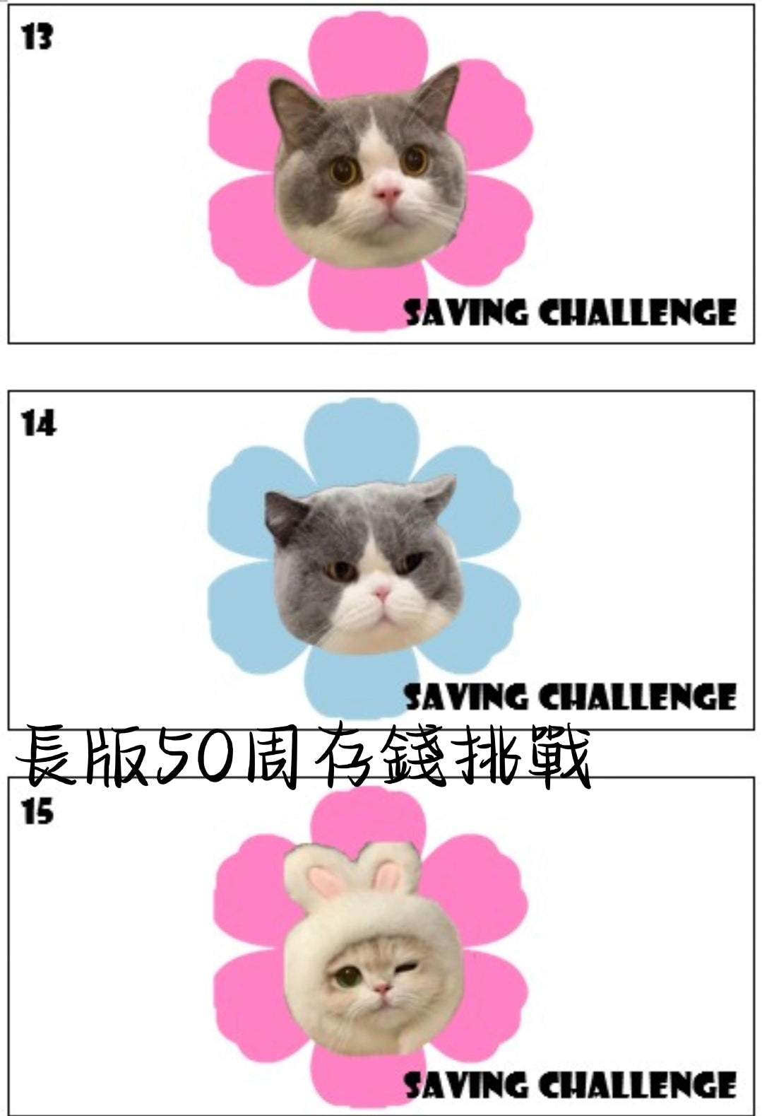 長版原木盒50週存錢挑戰組合~贈甜心熊存錢公仔