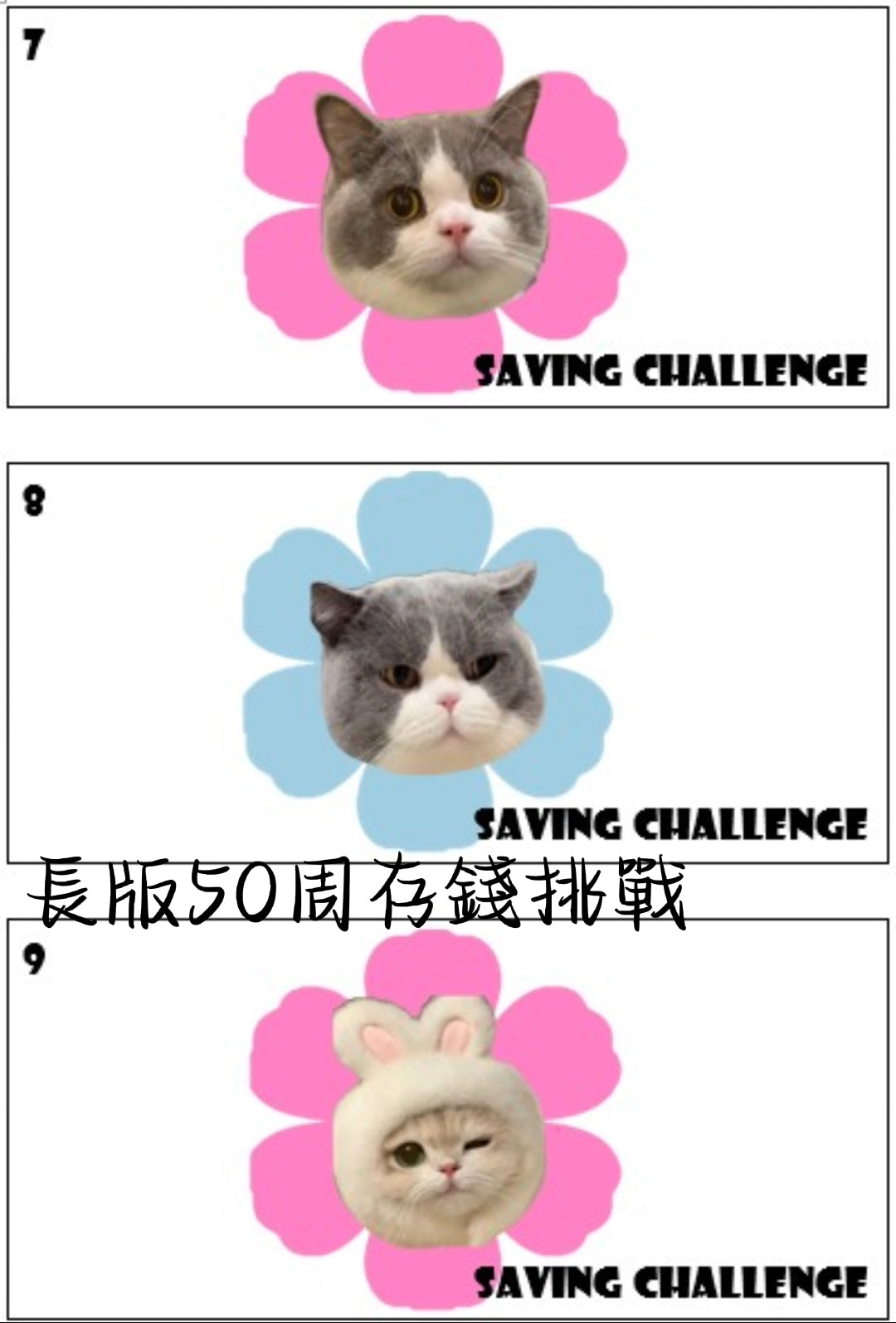 長版原木盒50週存錢挑戰組合~贈甜心熊存錢公仔