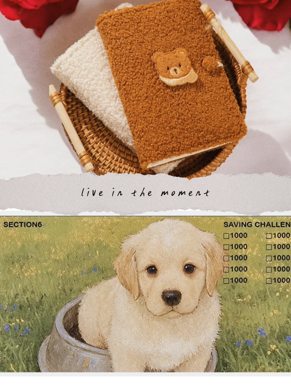 絨絨刺繡玩偶熊活頁本+100K存錢挑戰(任一款)