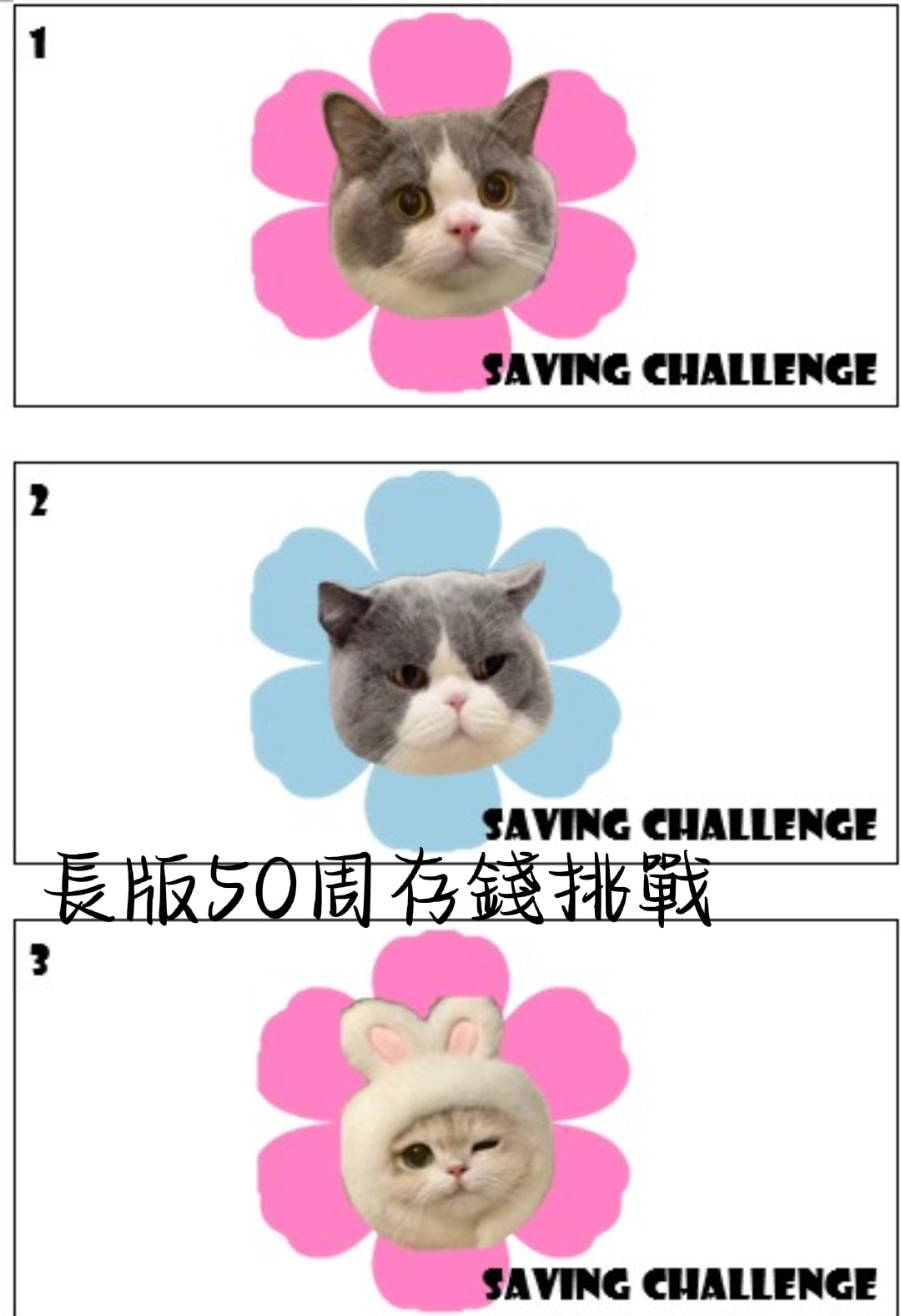 長版原木盒50週存錢挑戰組合~贈甜心熊存錢公仔
