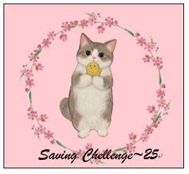 短版100張存錢挑戰存錢袋(新款)