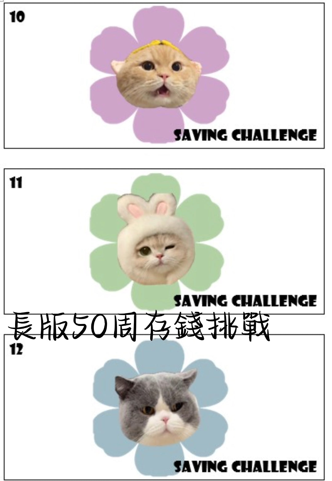 長版原木盒50週存錢挑戰組合~贈甜心熊存錢公仔