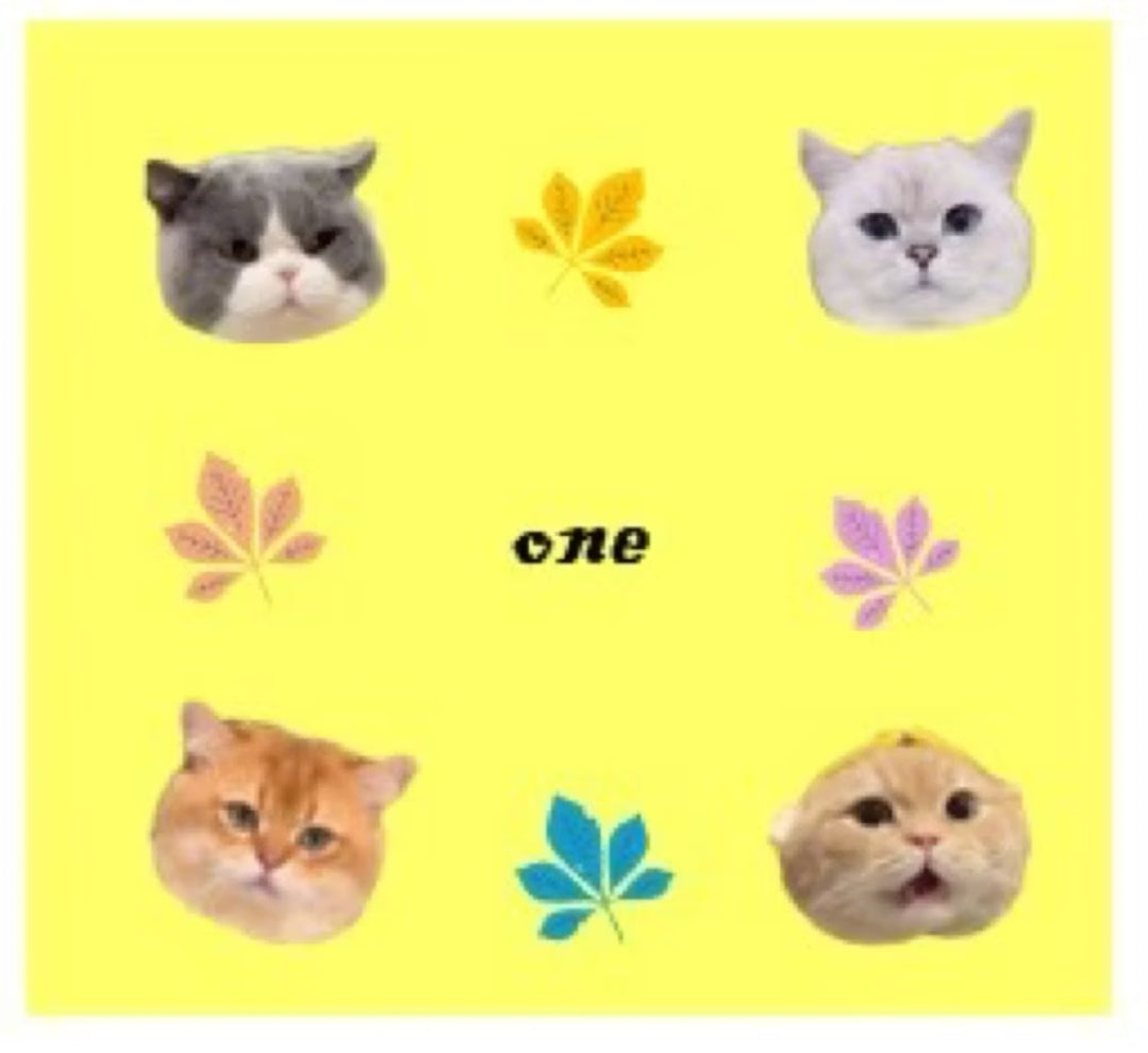 短版100張存錢挑戰存錢袋(黃貓款)