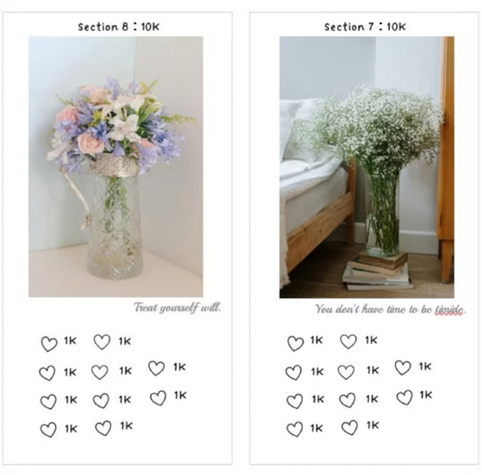 100K存錢挑戰-花花(A6打洞款)