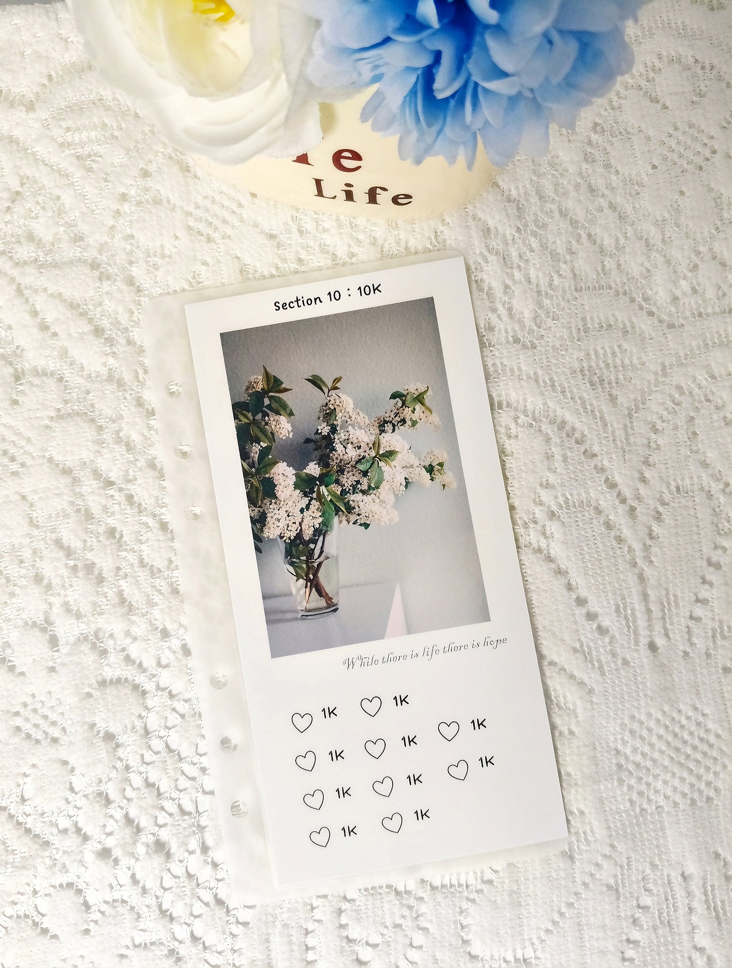 💐Huahuaの10万ドル貯金チャレンジ💐 最大10万ドル貯金