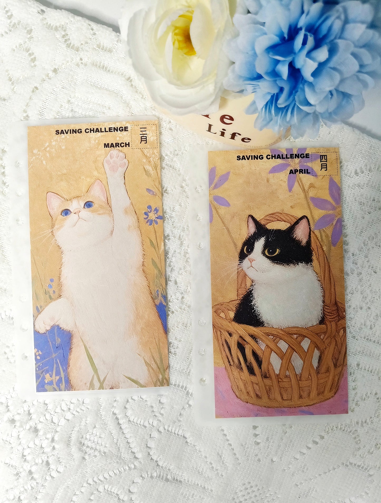 貓咪存錢袋公仔組合