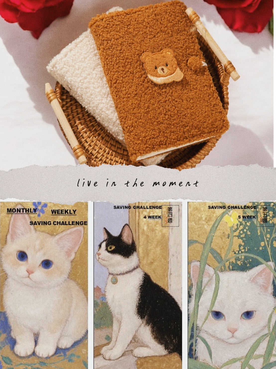 絨絨刺繡玩偶熊活頁本+貓貓月、週存錢袋