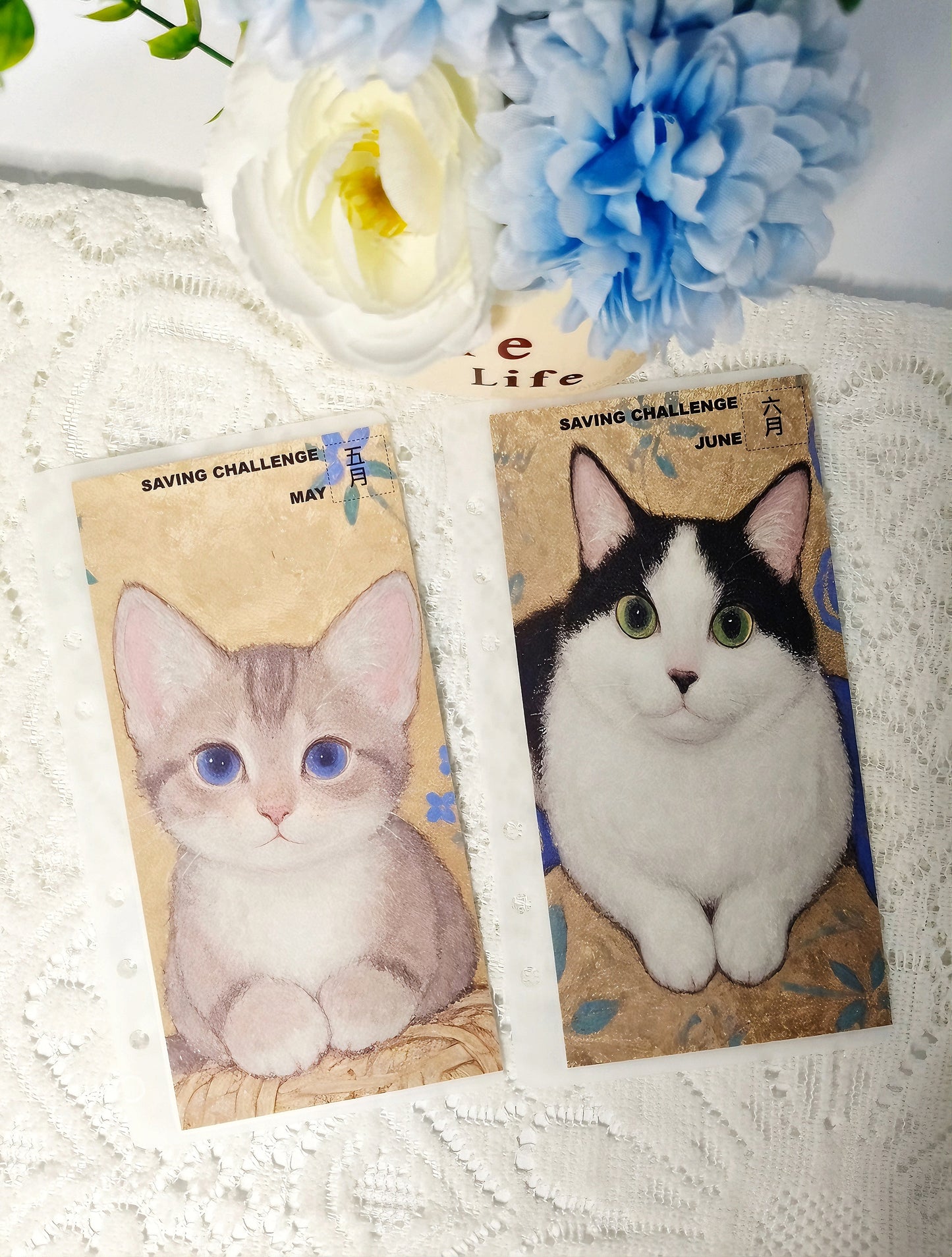 貓咪存錢袋公仔組合