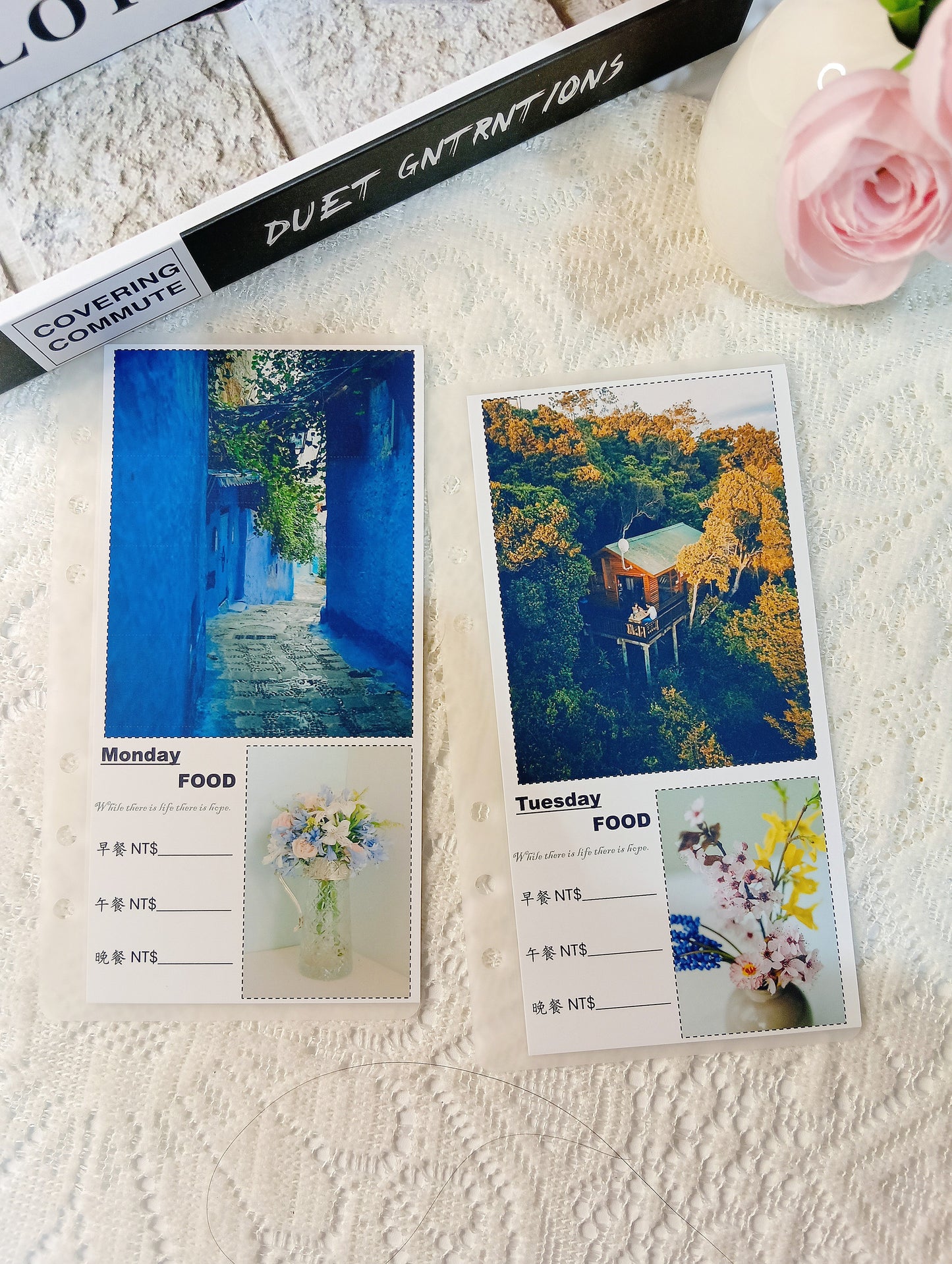 每日、每周饮食费用规划袋（A6打孔款）