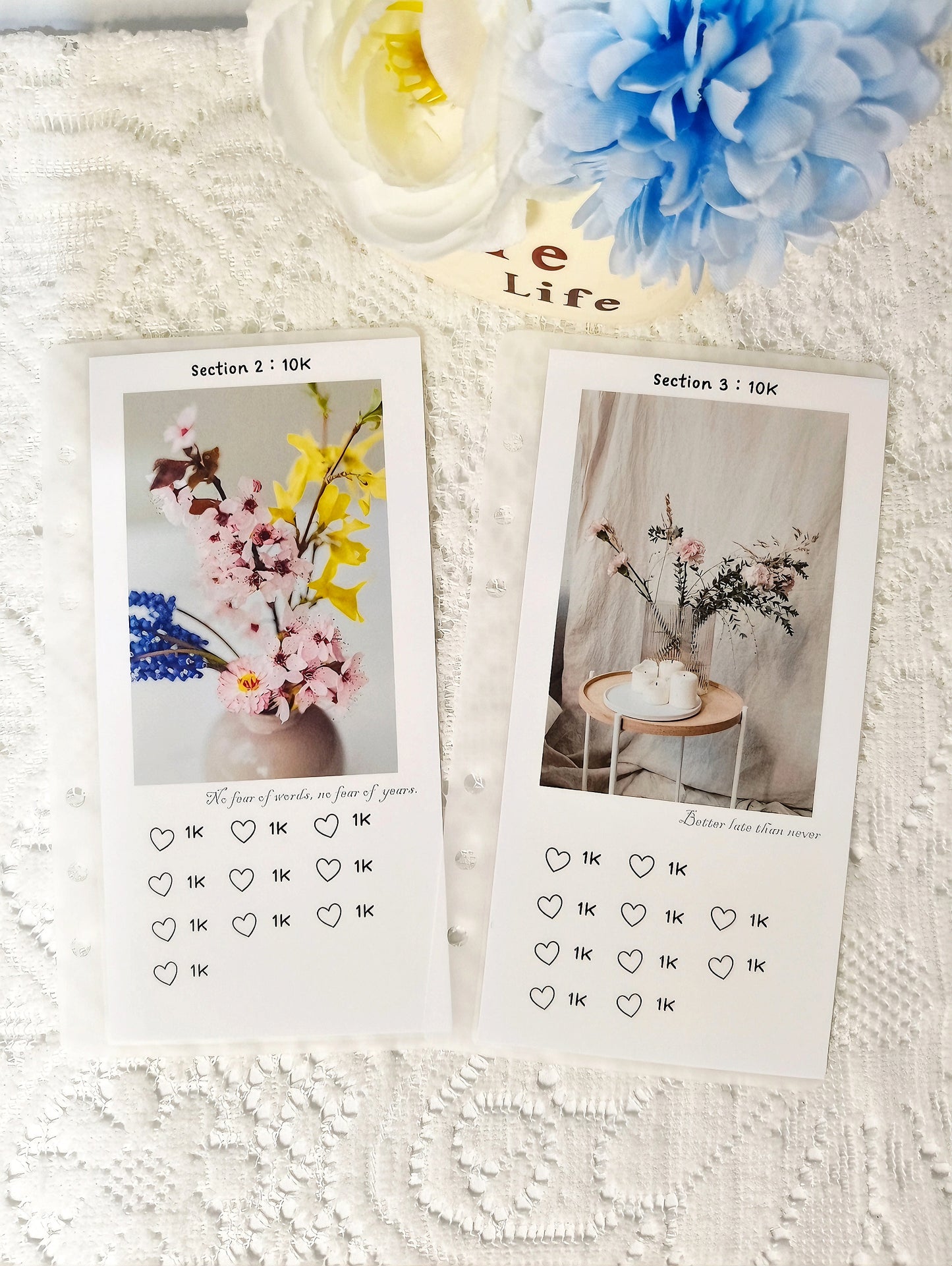 💐Huahuaの10万ドル貯金チャレンジ💐 最大10万ドル貯金