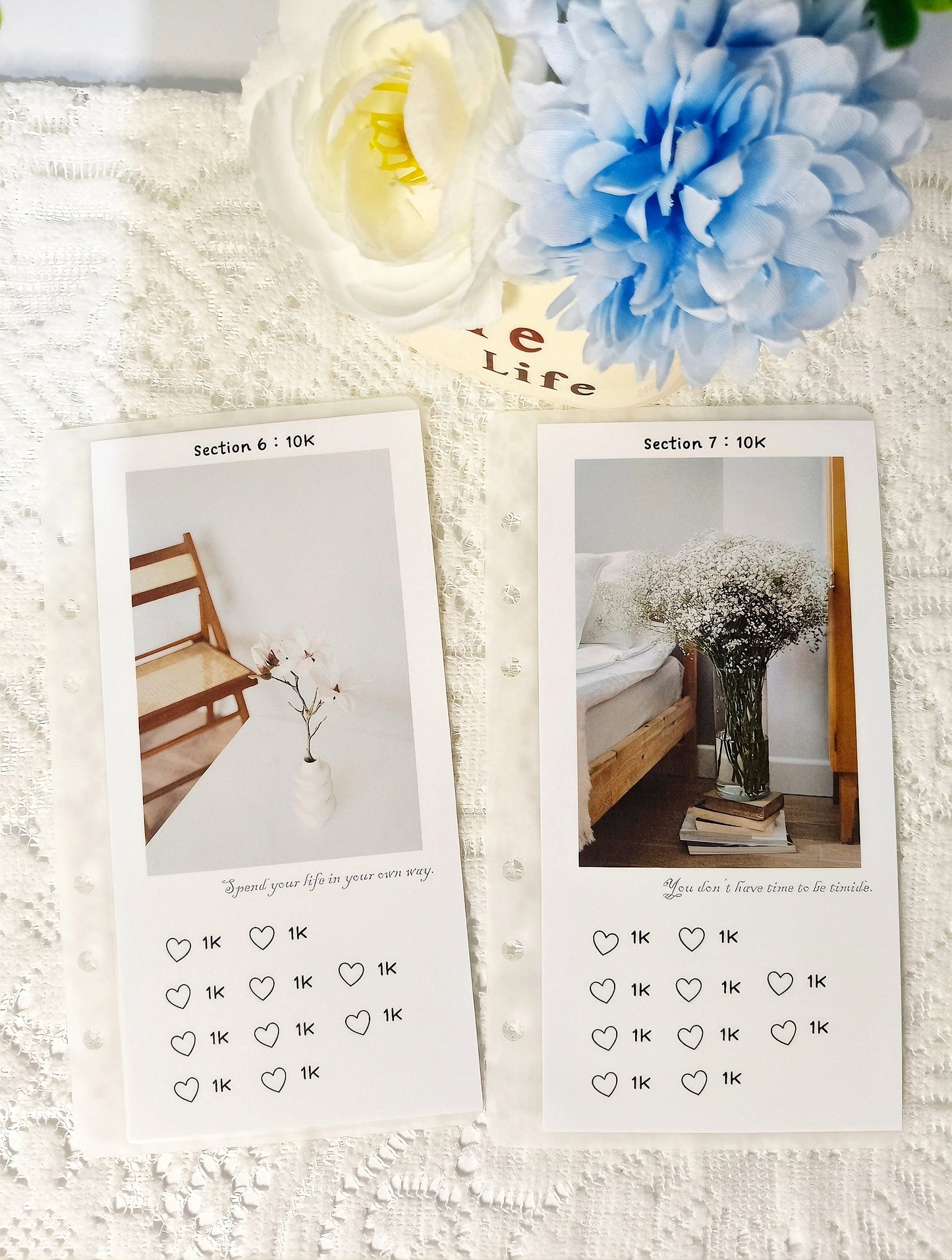 💐Huahuaの10万ドル貯金チャレンジ💐 最大10万ドル貯金