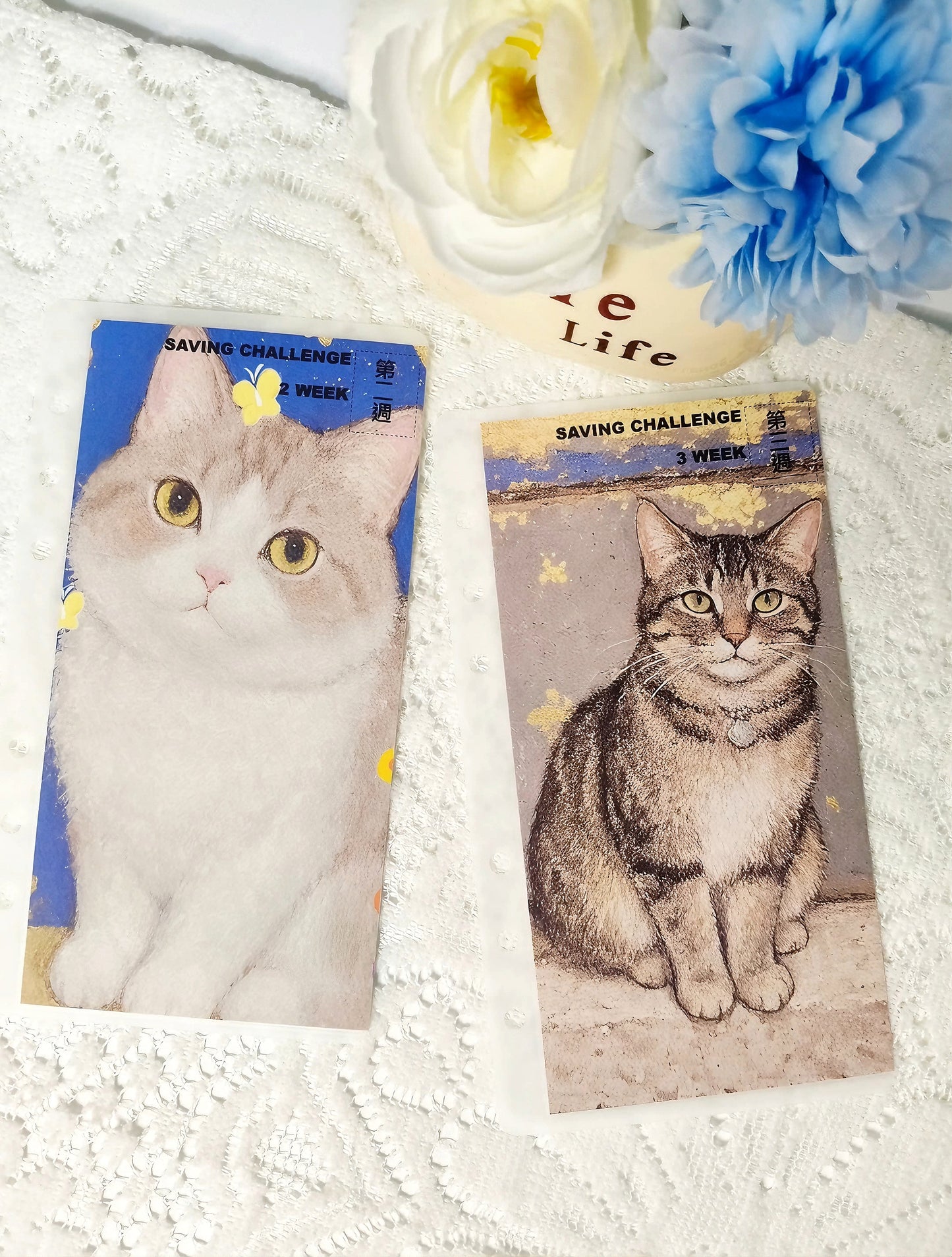 貓咪存錢袋公仔組合